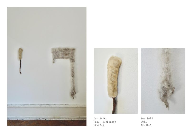 fur
